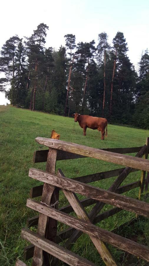 Вилла Domki Pod Lasem Rokiciny Podhalanskie Экстерьер фото